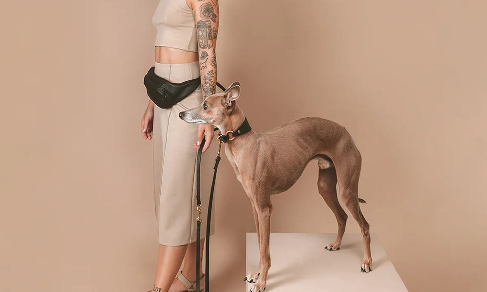 Why Every Dog Owner Needs a Hands-Free Dog Leash