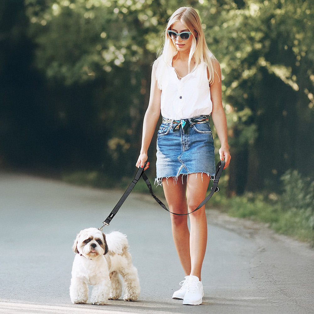 No-Pull Dog Leash Set