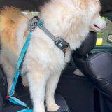 PawzPal 4–6FT Adjustable Reflective Dog Leash with Car Seat Belt Clip for Walking, Training & Travel