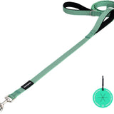 PAWZPAL 6FT Bungee Dog Leash – Padded Double Handle & Reflective | 4 Colors