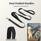 PAWZPAL 6FT Bungee Dog Leash – Padded Double Handle & Reflective | 4 Colors