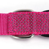 PAWZPAL 6FT Bungee Dog Leash – Padded Double Handle & Reflective | 4 Colors