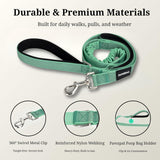 PAWZPAL 6FT Bungee Dog Leash – Padded Double Handle & Reflective | 4 Colors