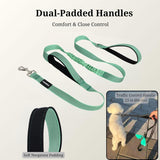 PAWZPAL 6FT Bungee Dog Leash – Padded Double Handle & Reflective | 4 Colors