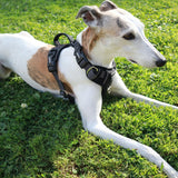 PawzPal No-Pull Dog Harness | Reflective • Adjustable • Soft Padded