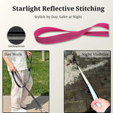 PAWZPAL 6FT Bungee Dog Leash – Padded Double Handle & Reflective | 4 Colors