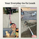 PAWZPAL 6FT Bungee Dog Leash – Padded Double Handle & Reflective | 4 Colors