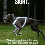 Dog wearing a reflective harness in a dark forest with text encouraging pet safety.