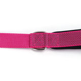 PawzPal Bungee Leash & Martingale Collar Set | No-Pull • Shock-Absorbing • Reflective