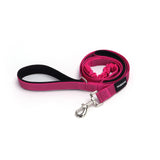 PawzPal Bungee Leash & Martingale Collar Set | No-Pull • Shock-Absorbing • Reflective