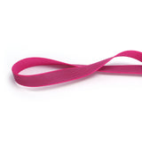 PawzPal Bungee Leash & Martingale Collar Set | No-Pull • Shock-Absorbing • Reflective