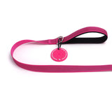 PawzPal Bungee Leash & Martingale Collar Set | No-Pull • Shock-Absorbing • Reflective