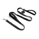 PawzPal Complete Walk Kit — Classic Black