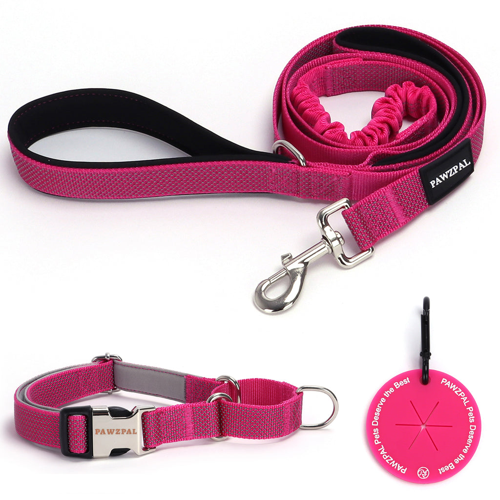 PAWZPAL 6FT Bungee Dog Leash & Martingale Collar Set Hot Pink – Shock-Absorbing Dual Chain Training Collar, Starlight Reflective, Soft-Padded Handle, Heavy-Duty for Small Medium Large Dogs