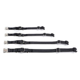 PawzPal Bungee Leash & Martingale Collar Set | No-Pull • Shock-Absorbing • Reflective