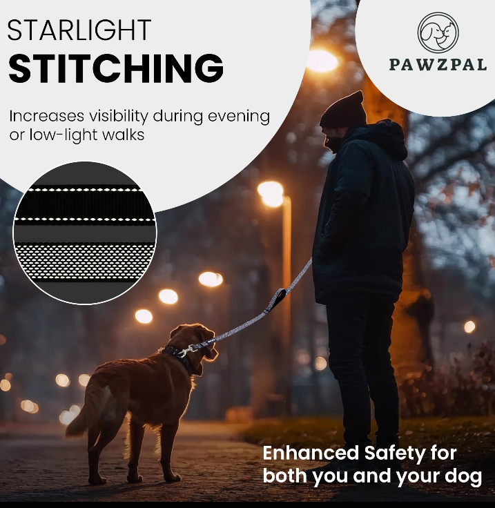 PAWZPAL 6FT Bungee Dog Leash & Martingale Collar Set Classic Black – Shock-Absorbing Dual Chain Training Collar, Starlight Reflective, Soft-Padded Handle, Heavy-Duty for Small Medium Large Dogs