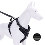 PawzPal Complete Walk Kit — Classic Black