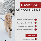 PawzPal Hands-Free Dog Leash | No-Pull • Reflective • Shock-Absorbing (6–10 ft) Maple Red/Blue