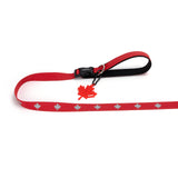 PawzPal Hands-Free Dog Leash | No-Pull • Reflective • Shock-Absorbing (6–10 ft) Maple Red/Blue