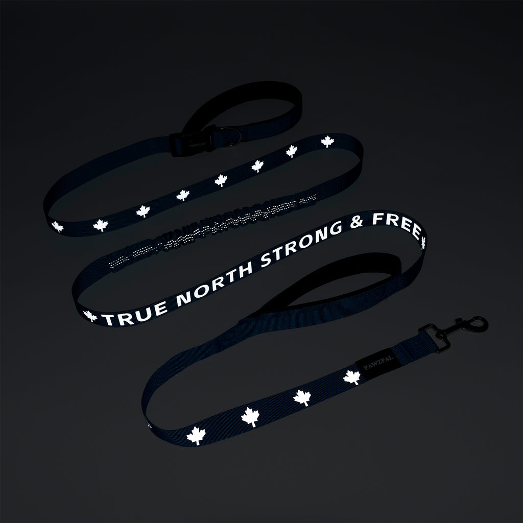 Hands Free Dog Leash - Waist/Crossbody 2-in-1 Belt with Shock-Absorbing, Traffic Handle, Maple Leaf Reflective and Waste Bag Carrier Maple Blue