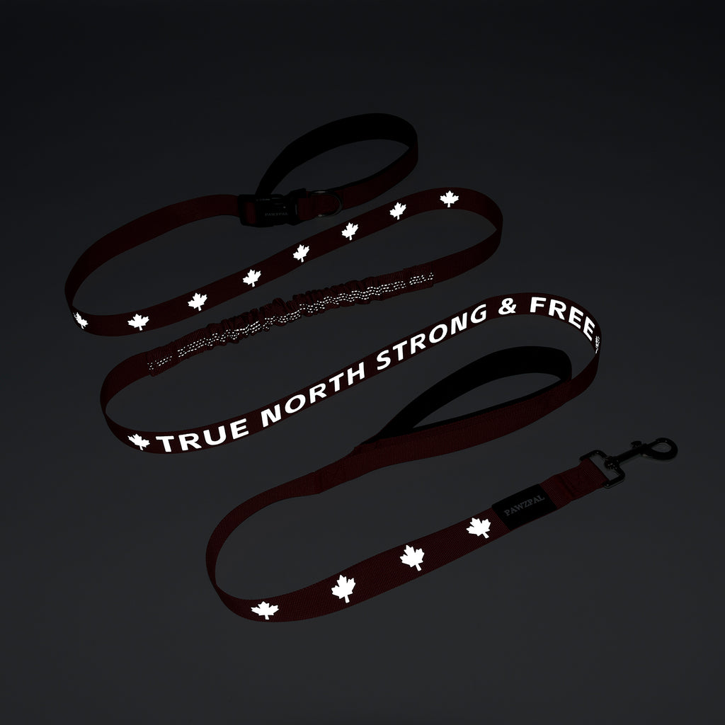 8-10FT Hands Free Dog Leash - Waist/Crossbody 2-in-1 Belt with Shock-Absorbing, Traffic Handle, Maple Leaf Reflective and Waste Bag Carrier Maple Red