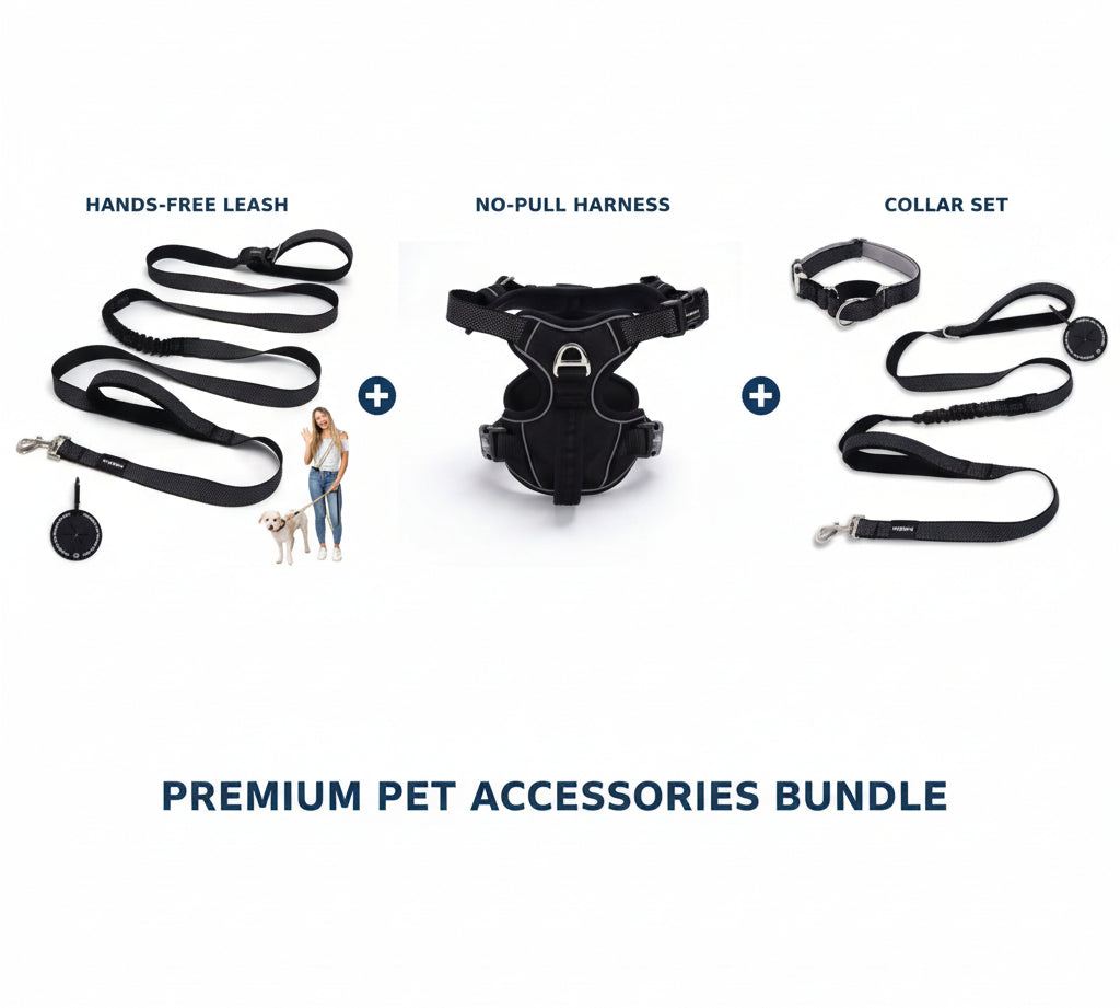 Dog walking kit with hands-free leash, no-pull harness, and collar set on a white background.