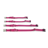 PawzPal Bungee Leash & Martingale Collar Set | No-Pull • Shock-Absorbing • Reflective