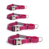 PawzPal Bungee Leash & Martingale Collar Set | No-Pull • Shock-Absorbing • Reflective