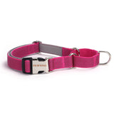 PawzPal Bungee Leash & Martingale Collar Set | No-Pull • Shock-Absorbing • Reflective