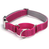 PawzPal Bungee Leash & Martingale Collar Set | No-Pull • Shock-Absorbing • Reflective