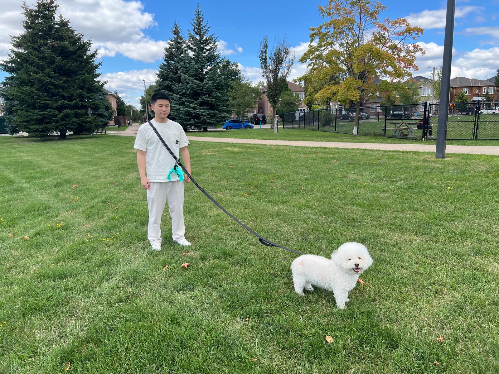 Man walking a small white dog on a leash in a park with trees and buildings in the background.