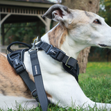 PawzPal No-Pull Dog Harness | Reflective • Adjustable • Soft Padded