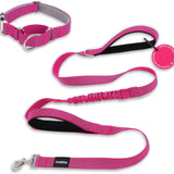 PawzPal Bungee Leash & Martingale Collar Set | No-Pull • Shock-Absorbing • Reflective