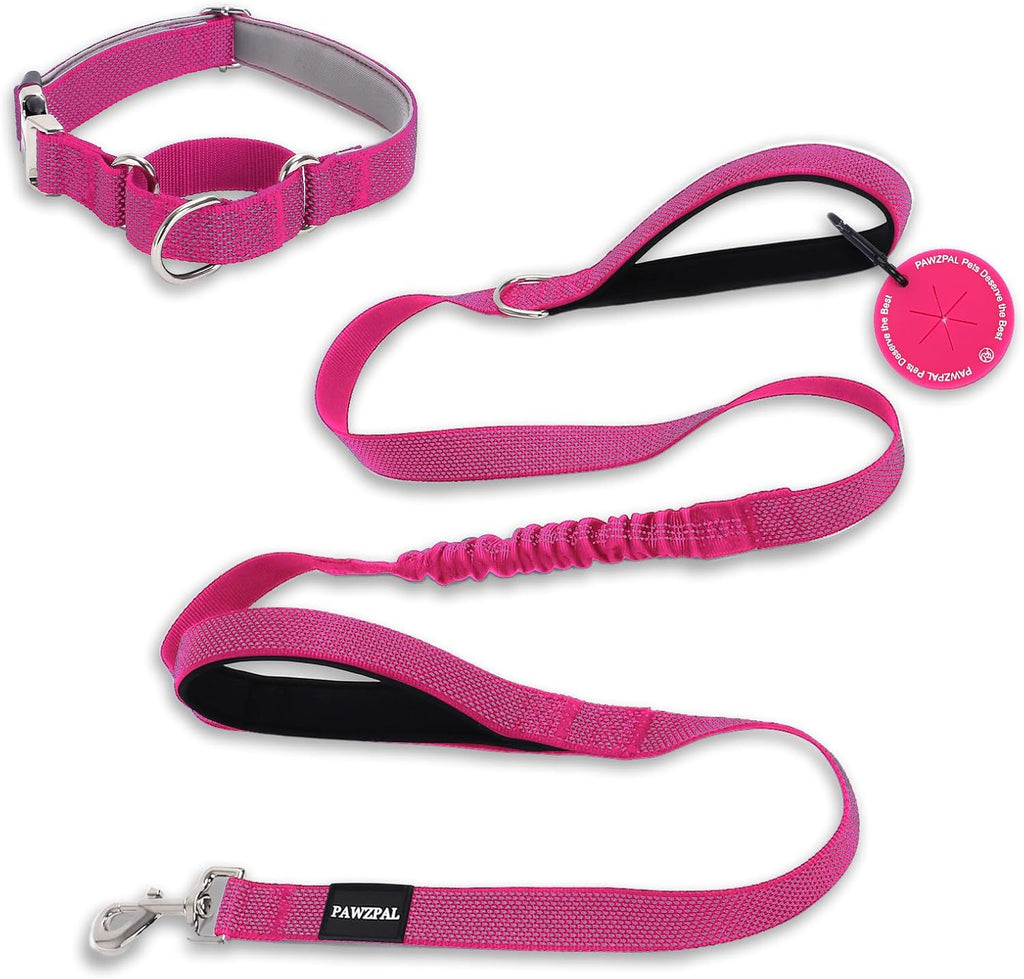 PAWZPAL 6FT Bungee Dog Leash & Martingale Collar Set Hot Pink – Shock-Absorbing Dual Chain Training Collar, Starlight Reflective, Soft-Padded Handle, Heavy-Duty for Small Medium Large Dogs