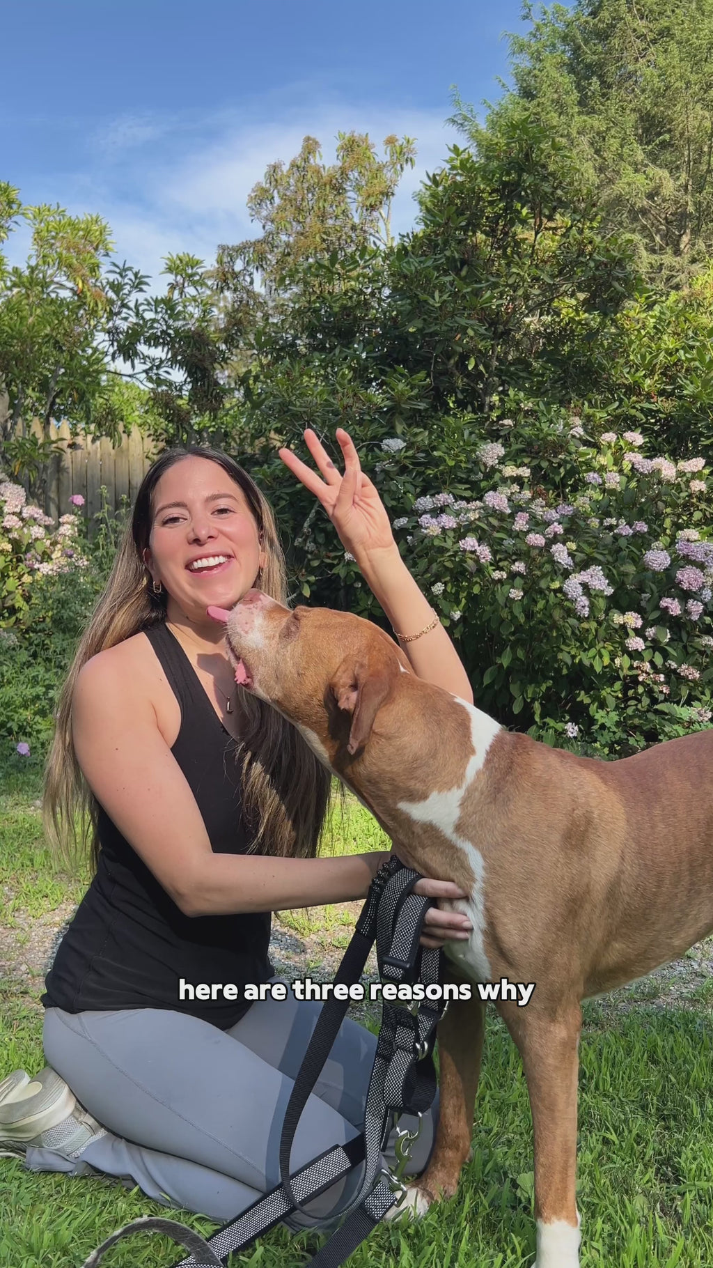 PAWZPAL 6FT Bungee Dog Leash & Martingale Collar Set Classic Black – Shock-Absorbing Dual Chain Training Collar, Starlight Reflective, Soft-Padded Handle, Heavy-Duty for Small Medium Large Dogs