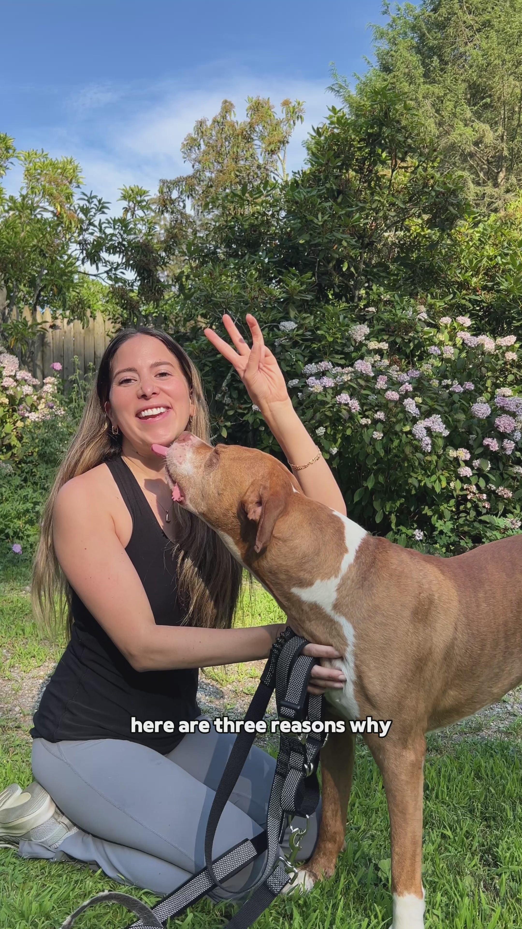 PAWZPAL 6FT Bungee Dog Leash & Martingale Collar Set – Shock-Absorbing Dual Chain Training Collar, Starlight Reflective, Soft-Padded Handle, Heavy-Duty for Small Medium Large Dogs