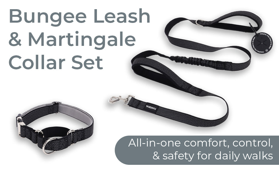 PAWZPAL 6FT Bungee Dog Leash & Martingale Collar Set Classic Black – Shock-Absorbing Dual Chain Training Collar, Starlight Reflective, Soft-Padded Handle, Heavy-Duty for Small Medium Large Dogs