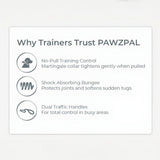 PawzPal Bungee Leash & Martingale Collar Set | No-Pull • Shock-Absorbing • Reflective