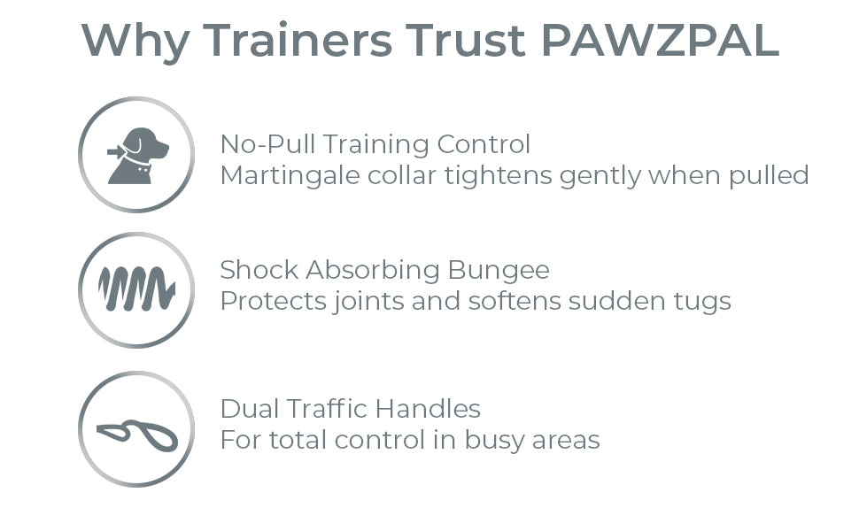 PAWZPAL 6FT Bungee Dog Leash & Martingale Collar Set Classic Black – Shock-Absorbing Dual Chain Training Collar, Starlight Reflective, Soft-Padded Handle, Heavy-Duty for Small Medium Large Dogs
