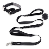 PawzPal Bungee Leash & Martingale Collar Set | No-Pull • Shock-Absorbing • Reflective