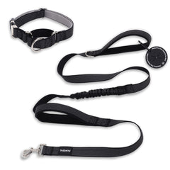 PawzPal Bungee Leash & Martingale Collar Set | No-Pull • Shock-Absorbing • Reflective