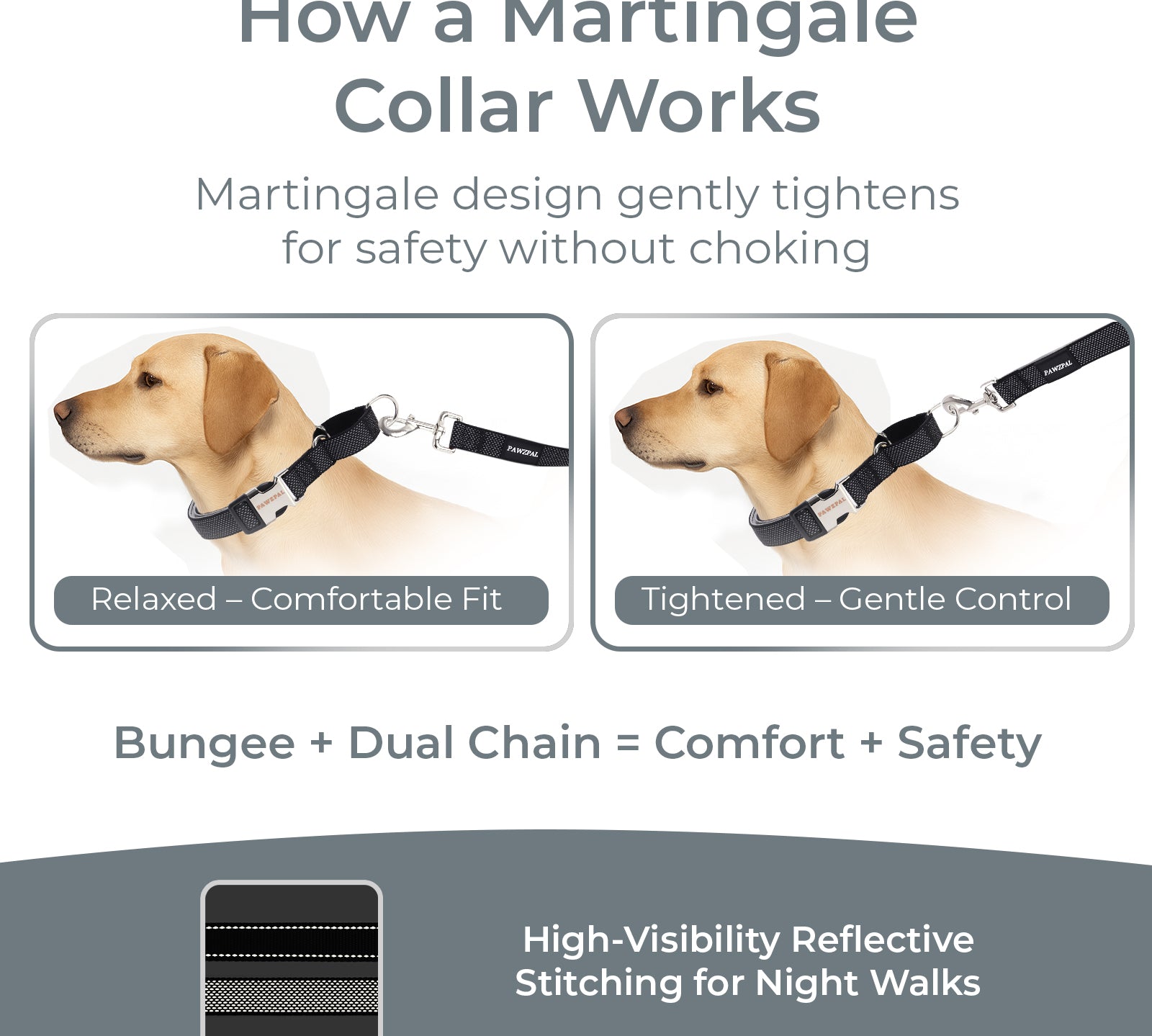 PawzPal Bungee Leash & Martingale Collar Set | No-Pull • Shock-Absorbing • Reflective