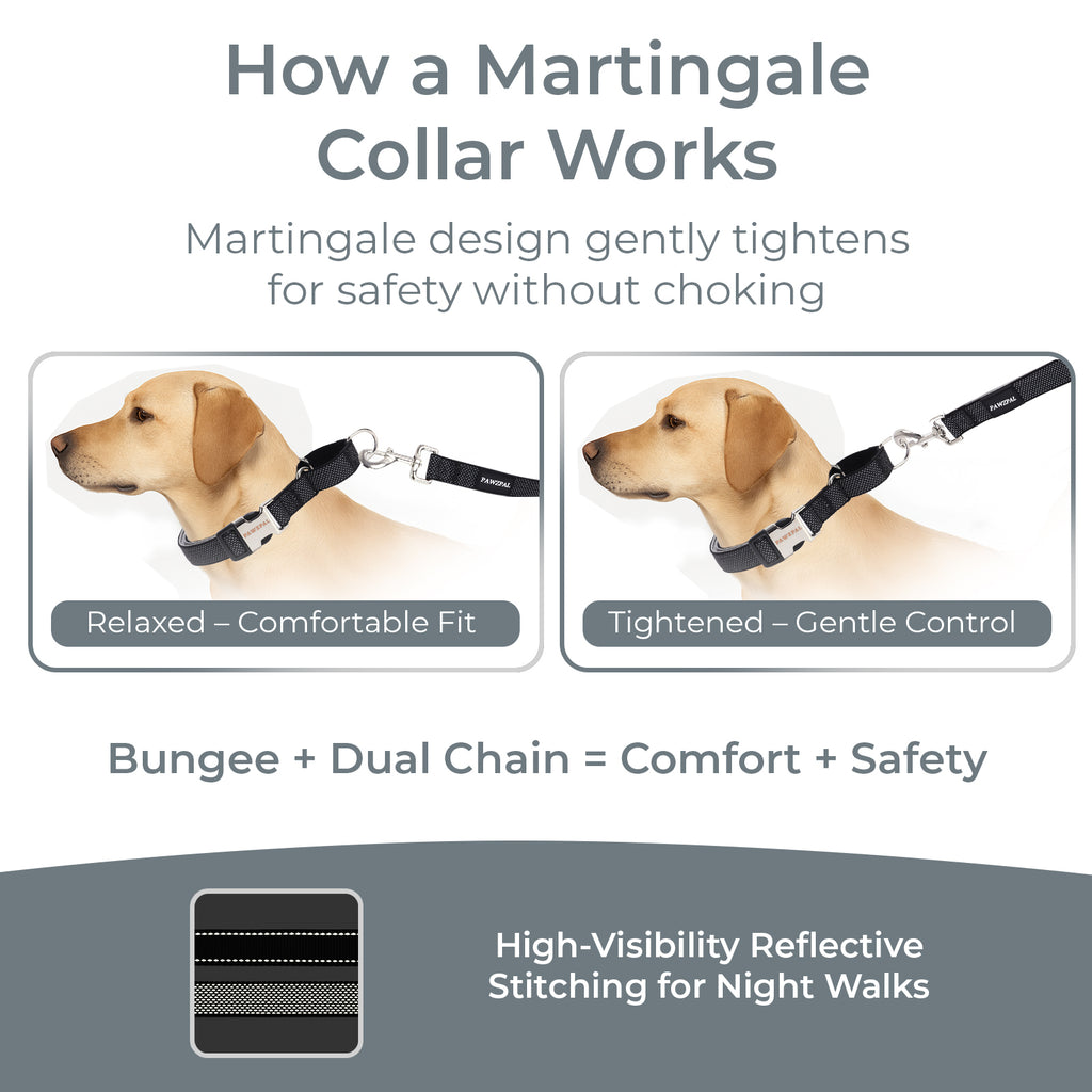 PAWZPAL 6FT Bungee Dog Leash & Martingale Collar Set Classic Black – Shock-Absorbing Dual Chain Training Collar, Starlight Reflective, Soft-Padded Handle, Heavy-Duty for Small Medium Large Dogs