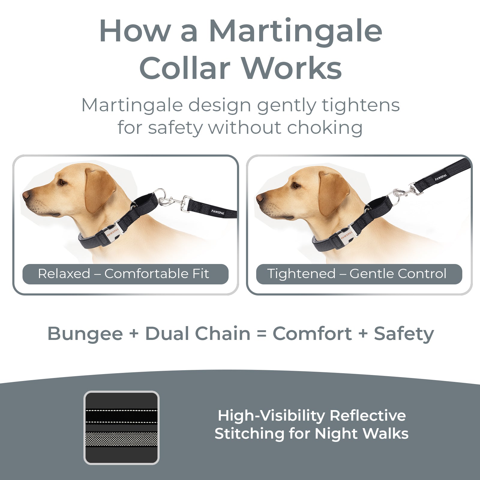 PAWZPAL 6FT Bungee Dog Leash & Martingale Collar Set – Shock-Absorbing Dual Chain Training Collar, Starlight Reflective, Soft-Padded Handle, Heavy-Duty for Small Medium Large Dogs