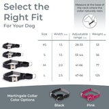 PawzPal Bungee Leash & Martingale Collar Set | No-Pull • Shock-Absorbing • Reflective